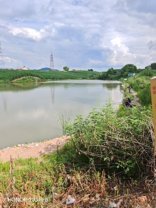 民主钓场