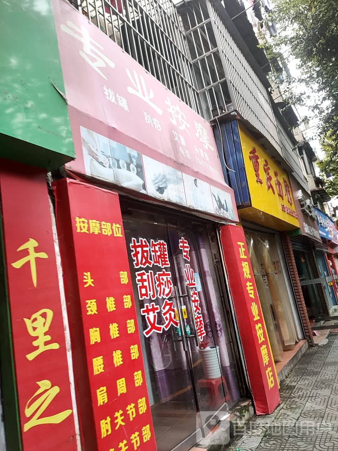 专业按