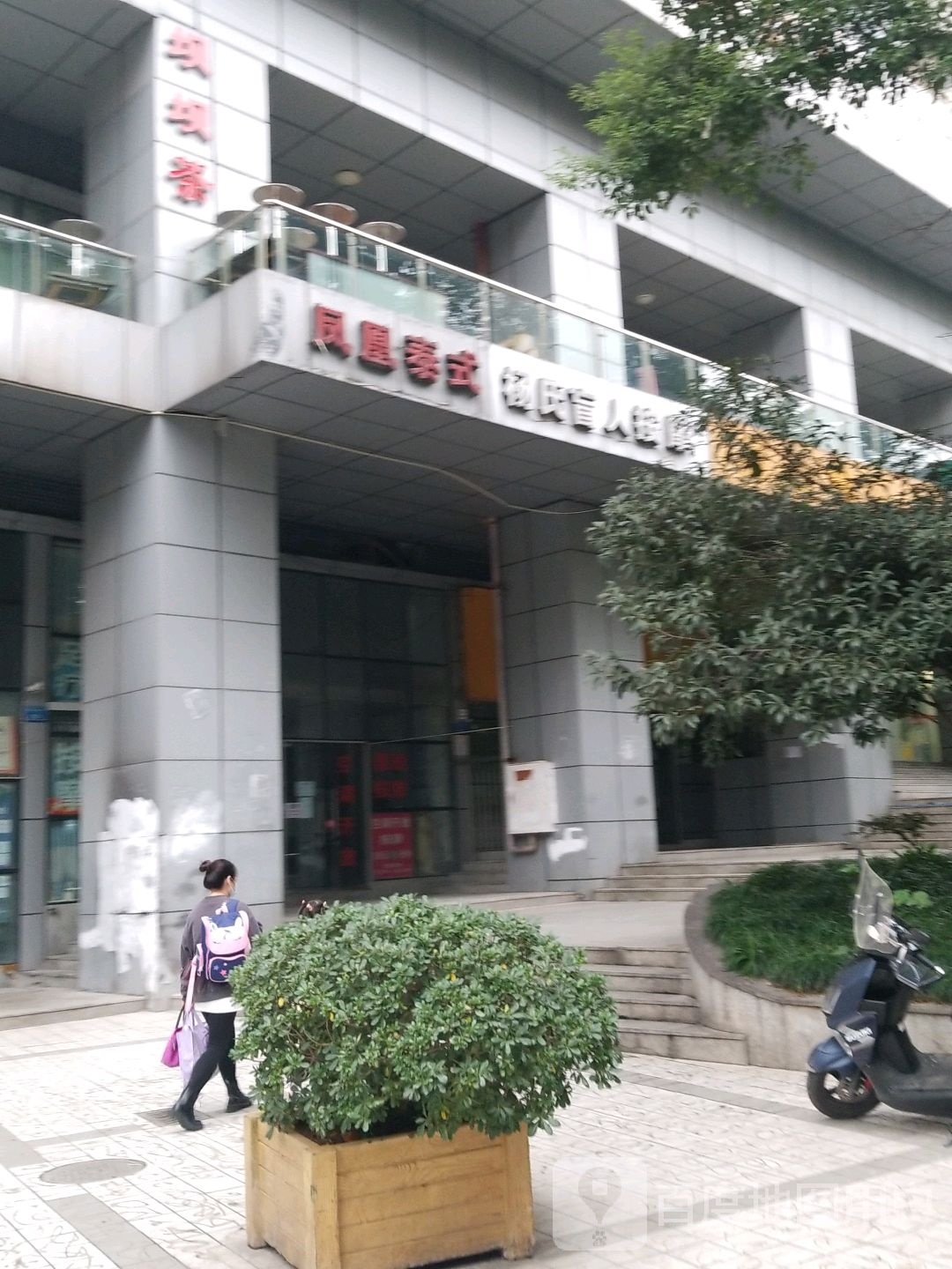 杨氏盲人按摩(湖榕路店)