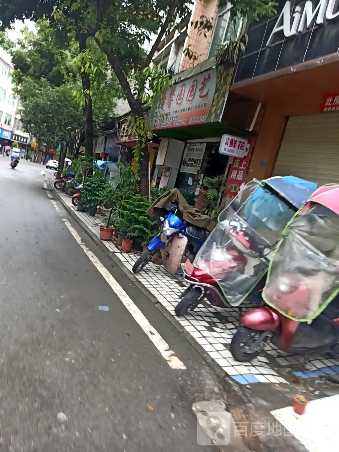 怡馨园园艺