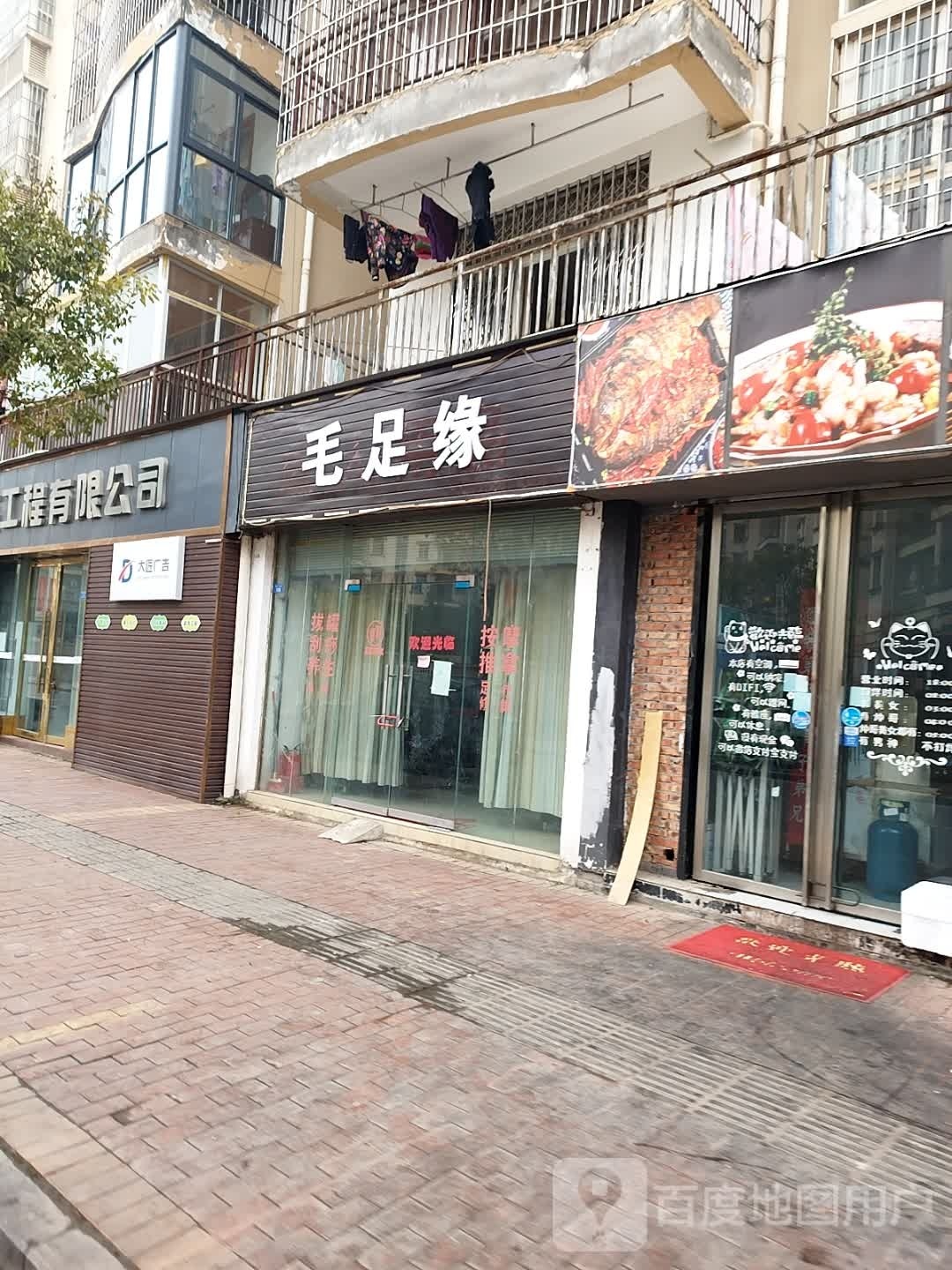 毛足缘