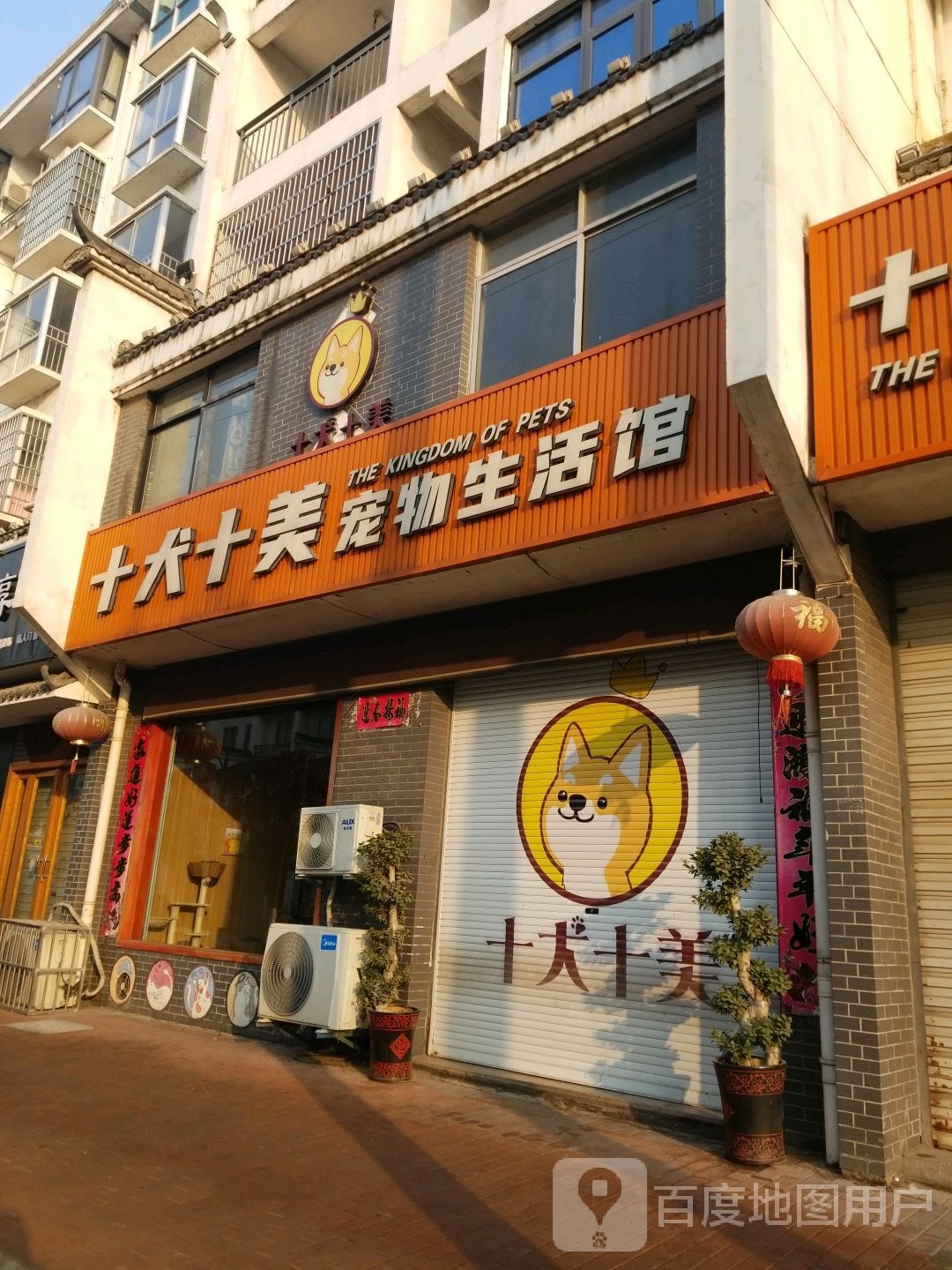 十犬十美高端宠物会所(冰溪路店)