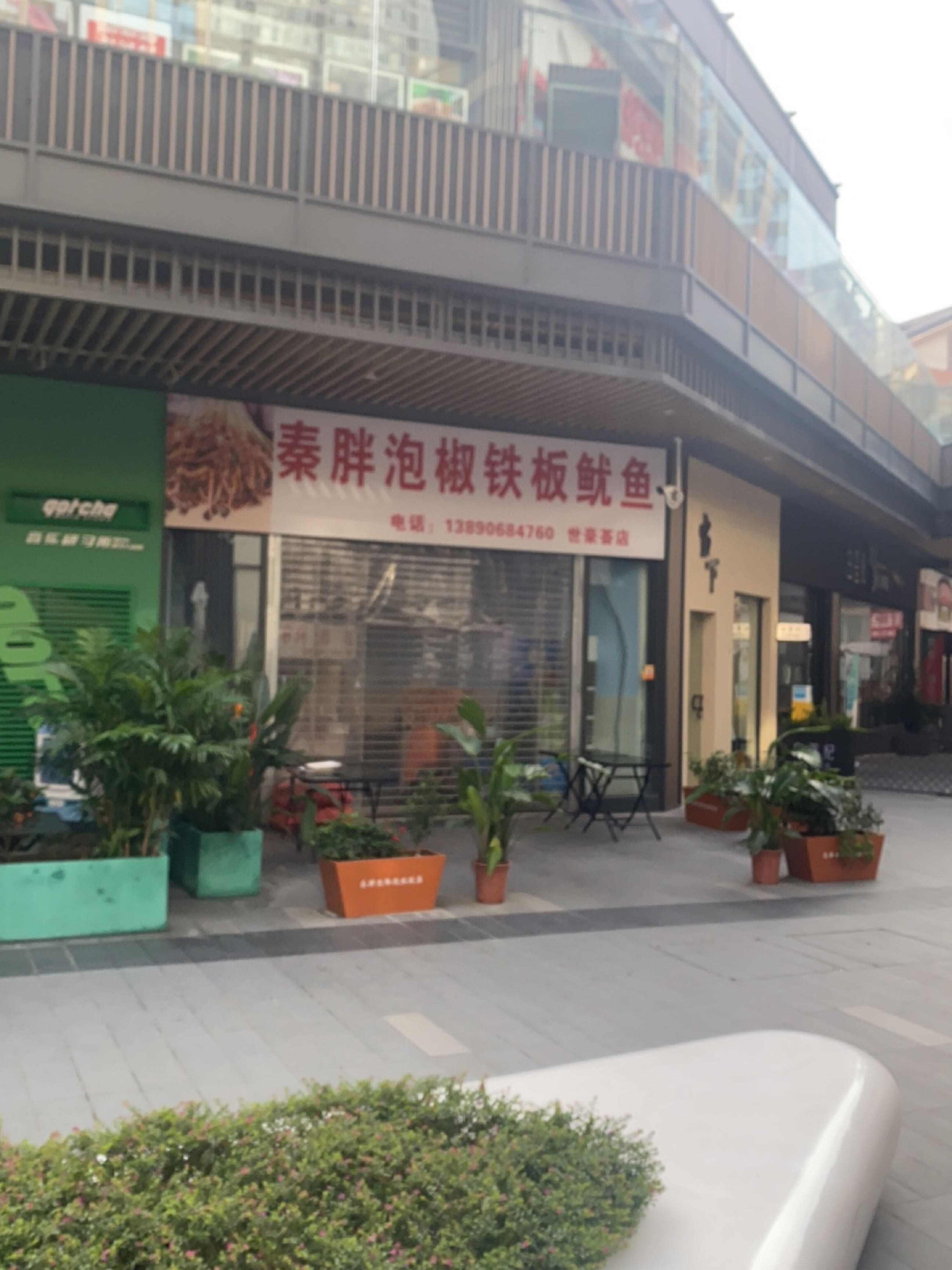 秦胖泡椒铁板鱿鱼(世豪荟店)