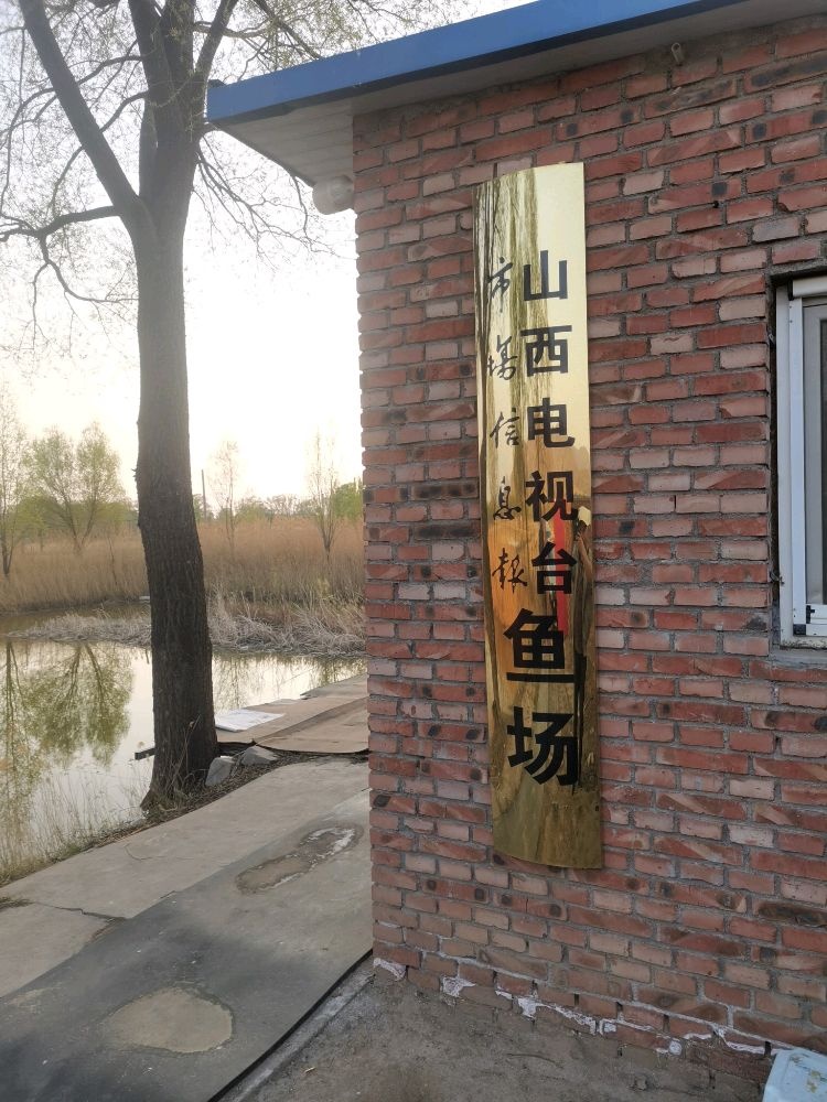山西电视台市场信息报社鱼场