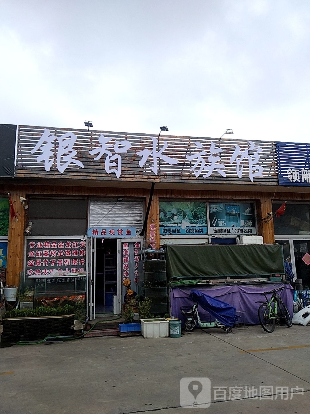 日照鱼趣水族馆