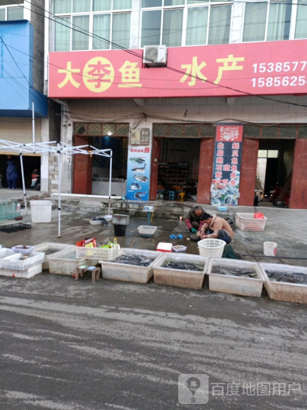 大李鱼水产