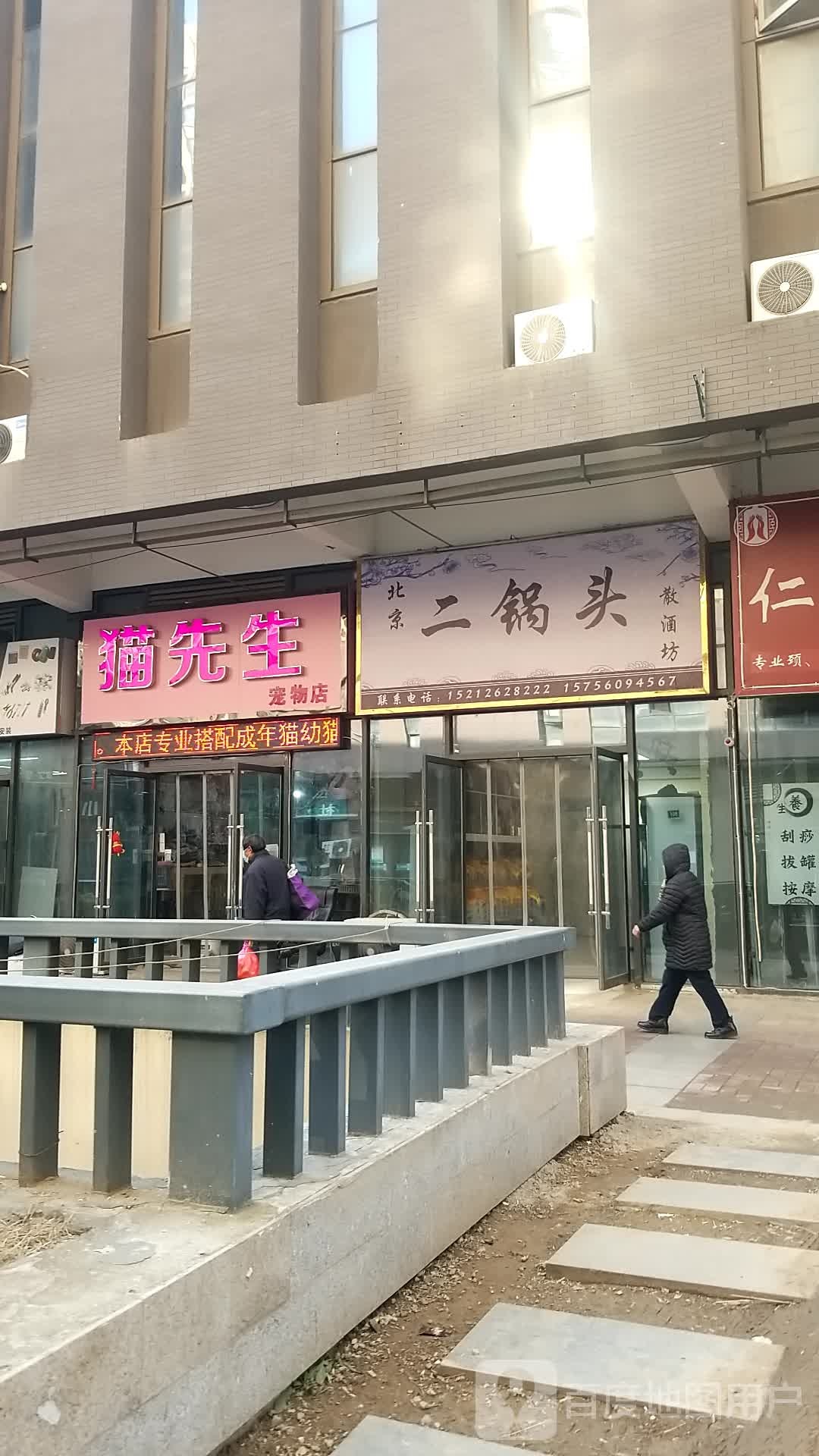 猫先生宠物店