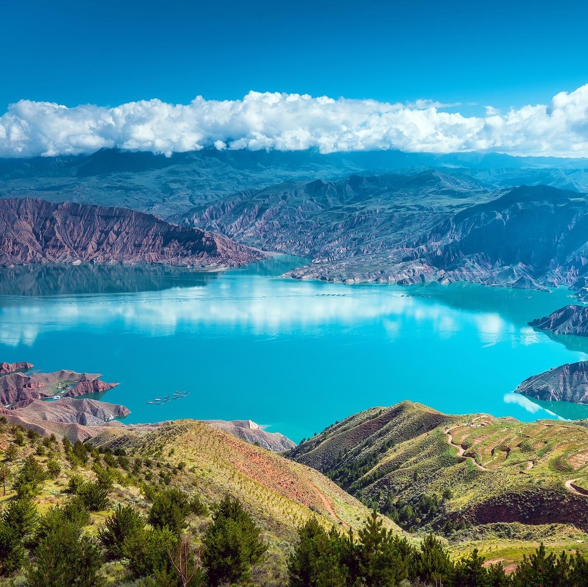 坎布拉国家森林公园