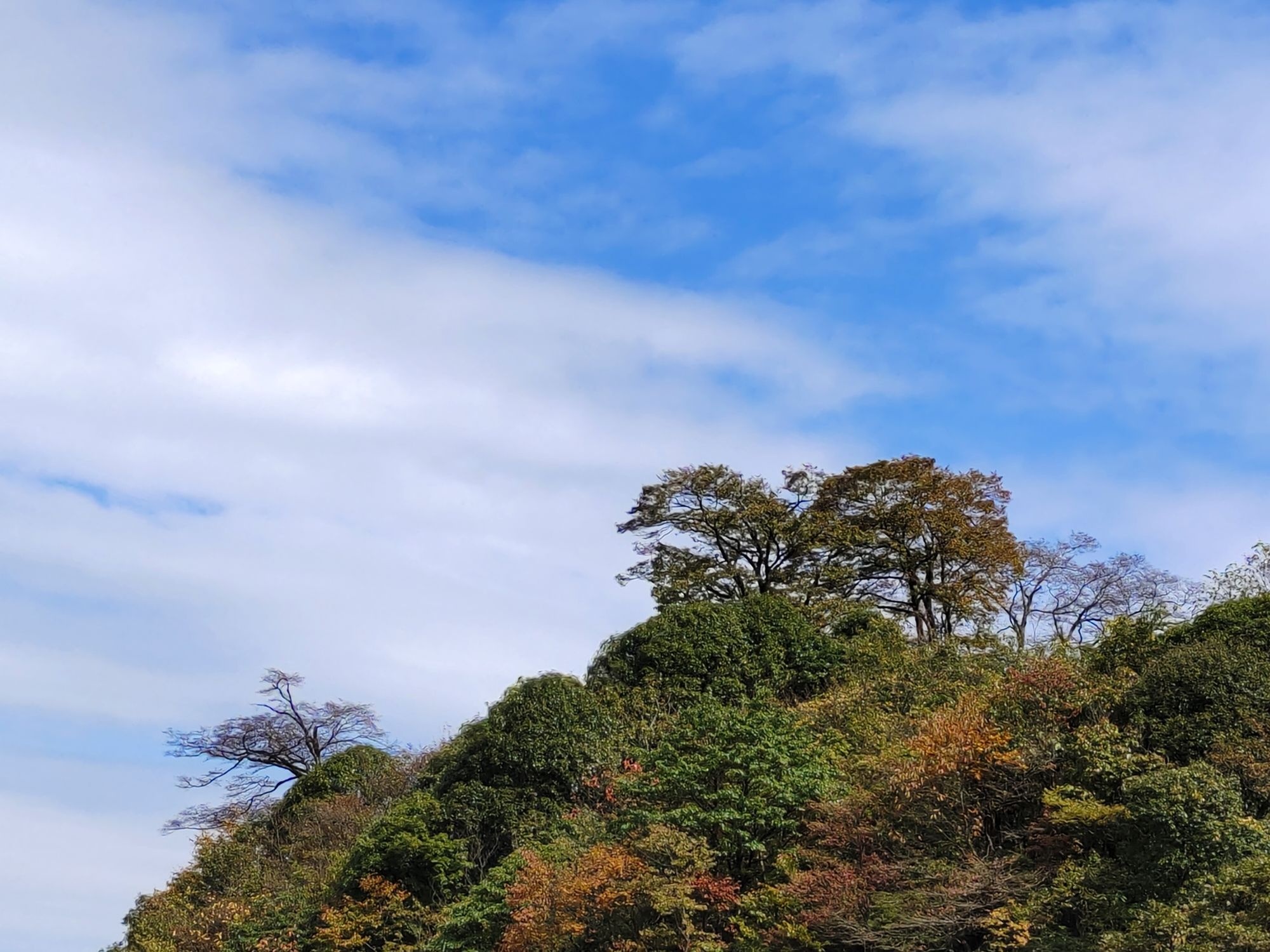 雷公山国家森林公园