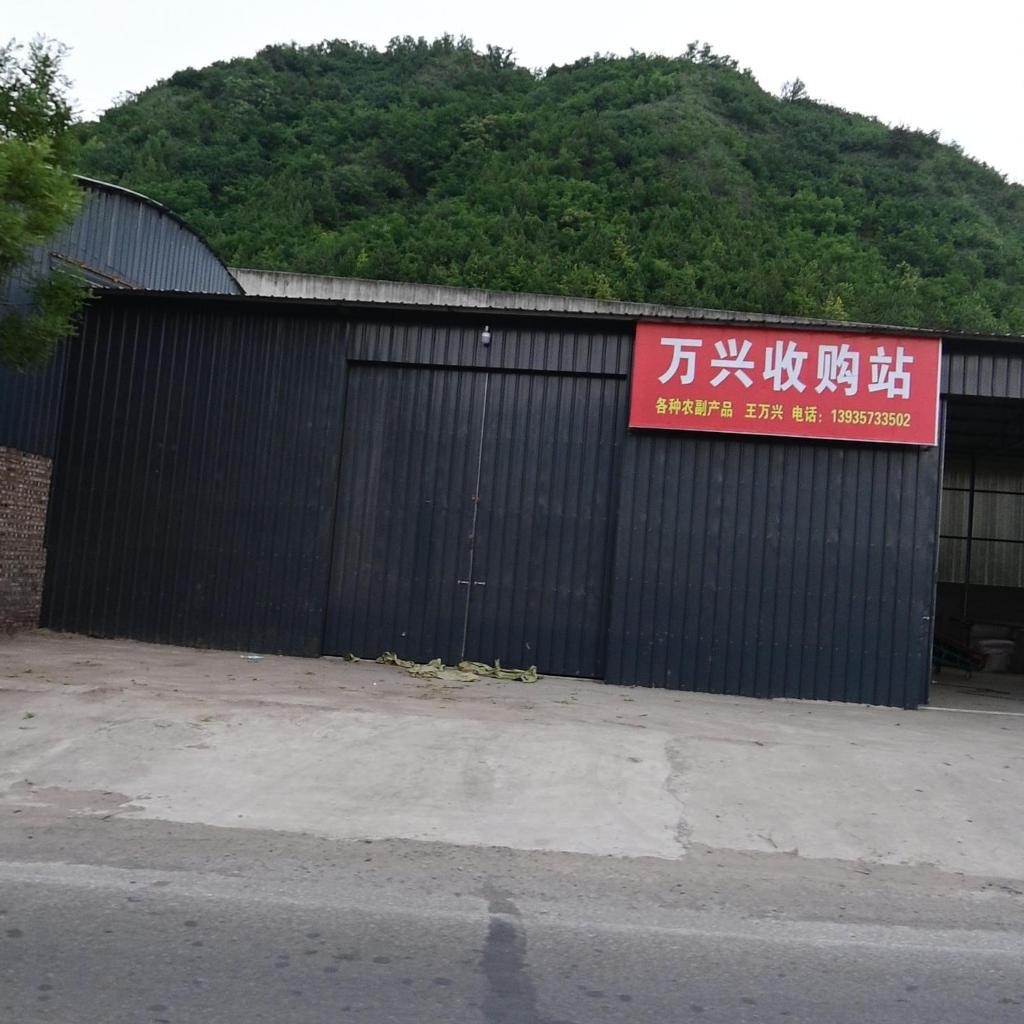 万兴收购站
