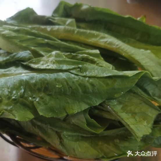 树夏老挝火腿
