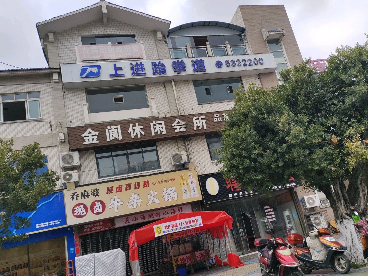 上进跆拳道