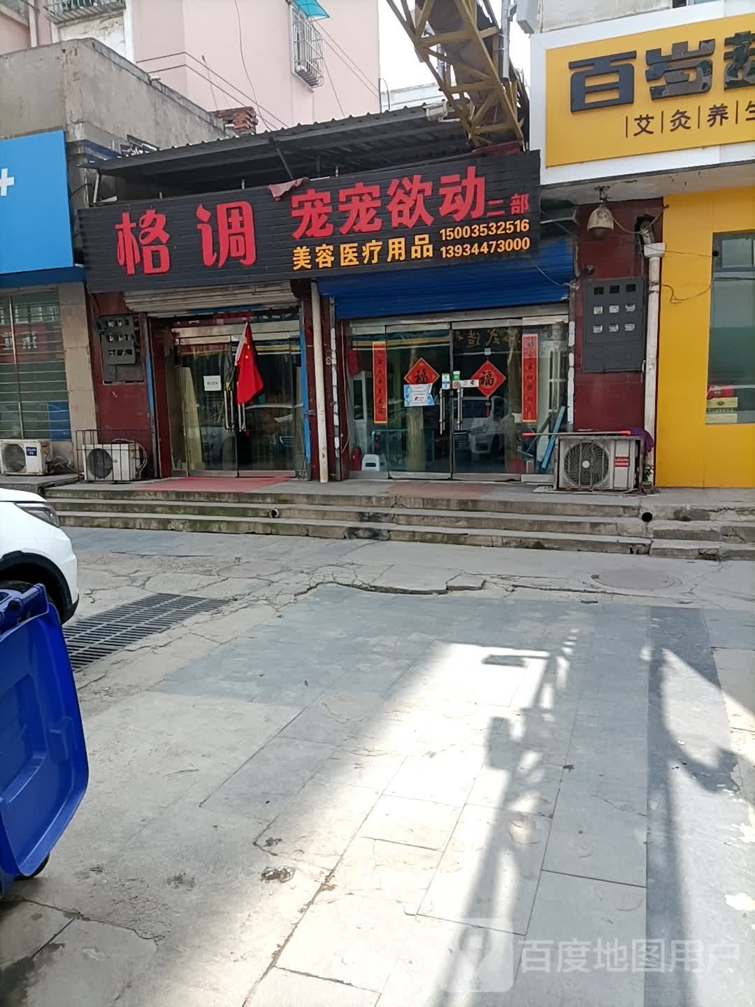 宠宠欲动
