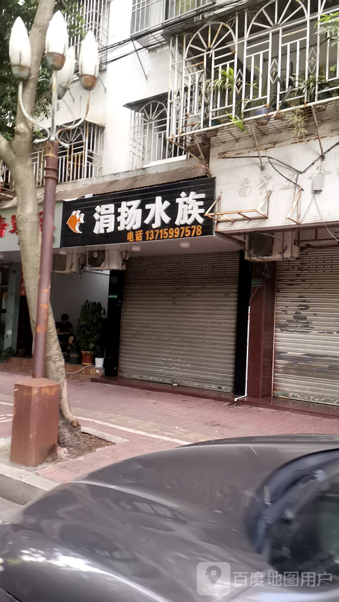 涓扬水族