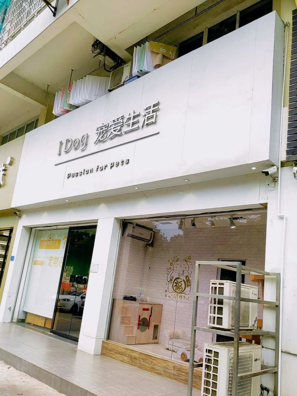 i Dog宠爱生活(广东路店)