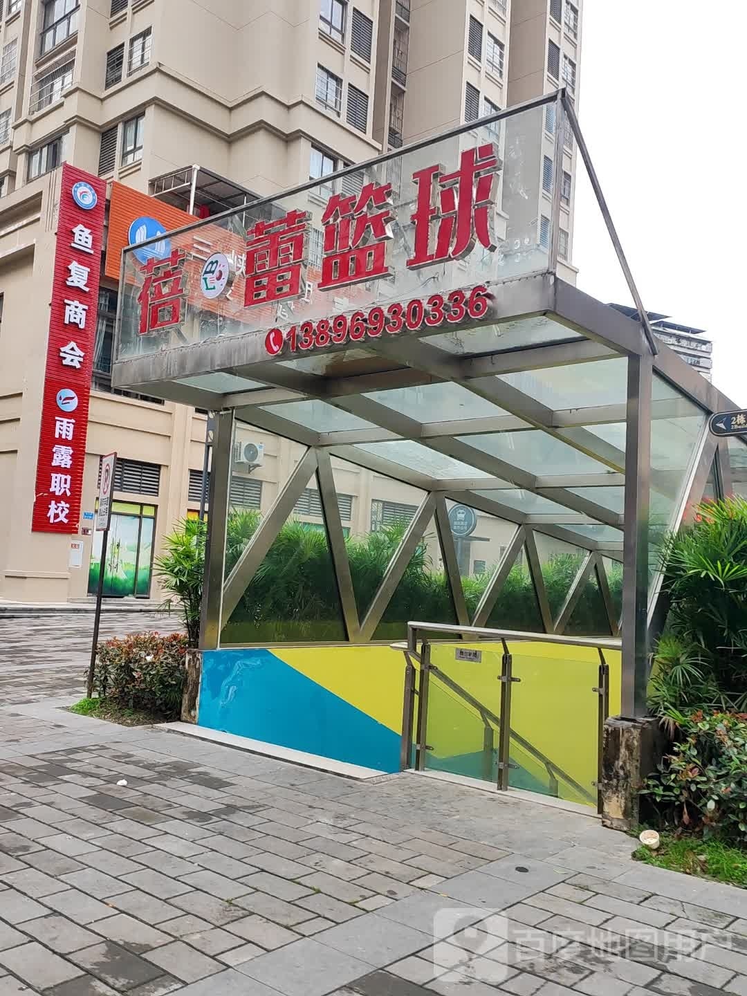 蓓蕾篮球