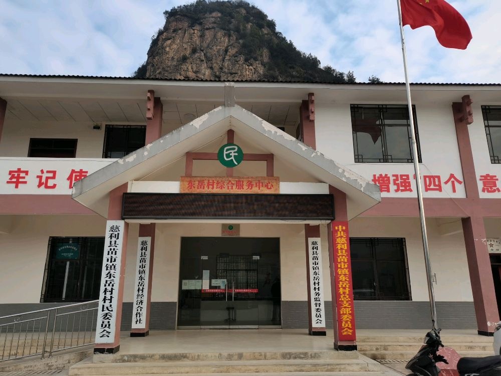 面市镇东岳村退役军人服务站