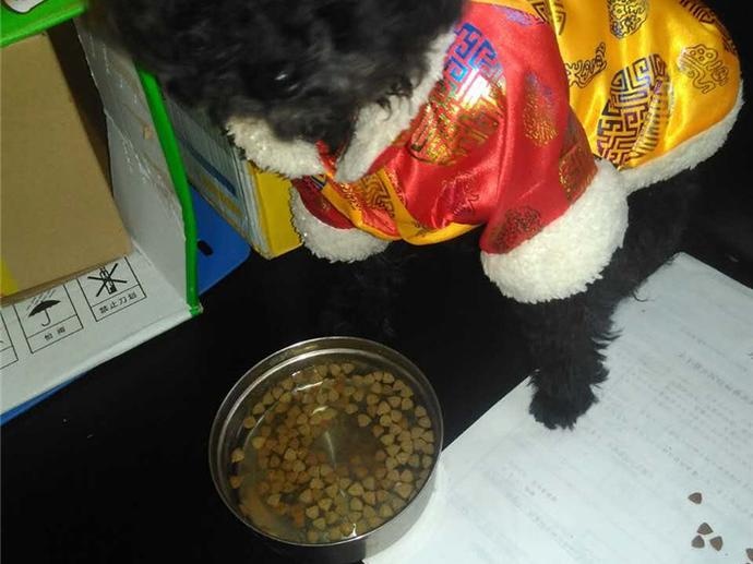 太原宠乐游