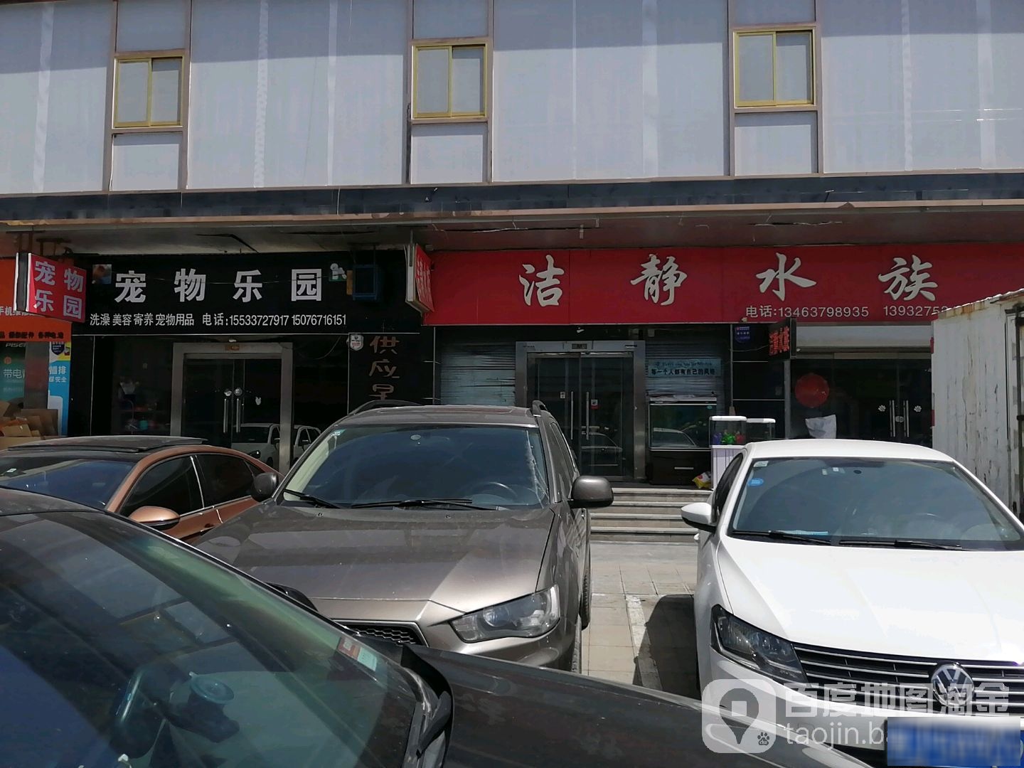 洁静水族(金街古玩城店)