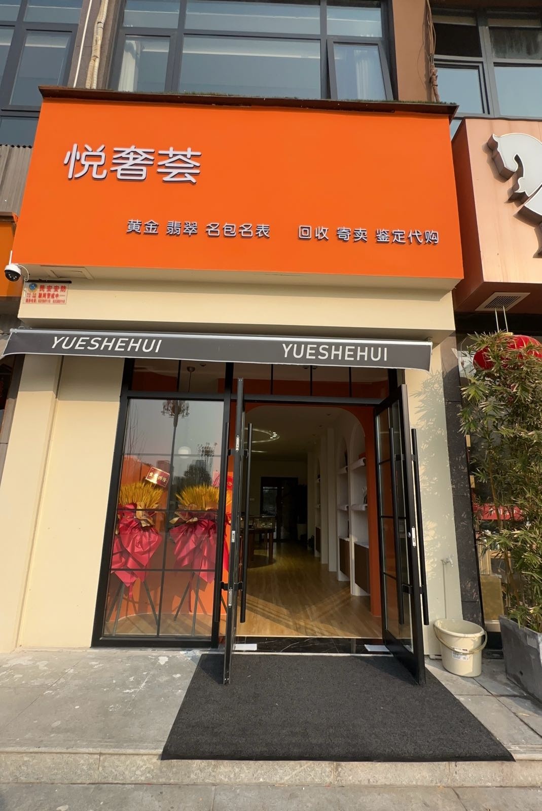 悦奢茸险荟
