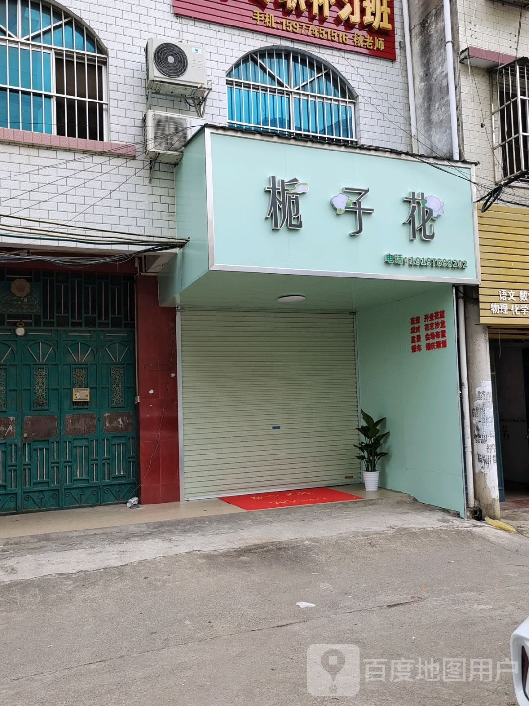 栀子花
