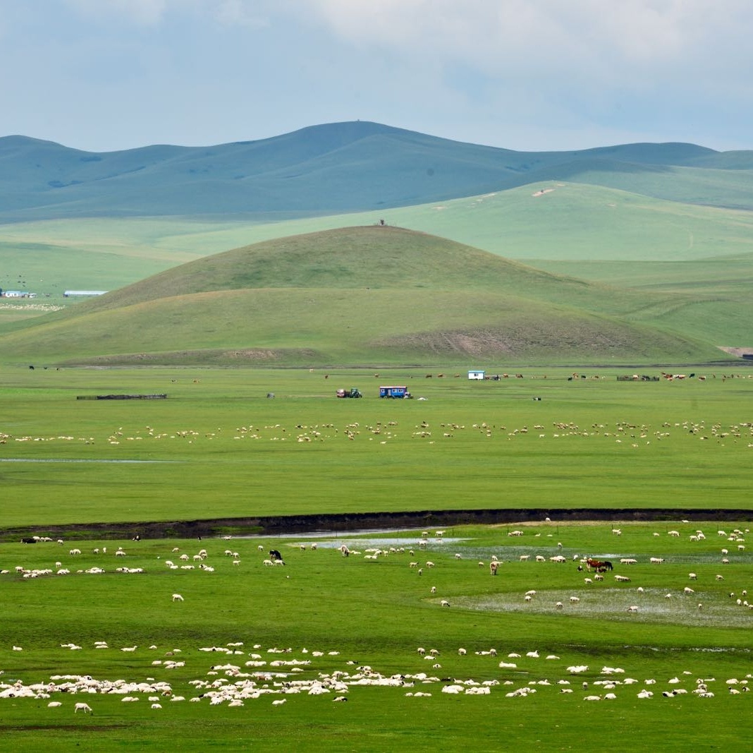 金帐汗旅游部落
