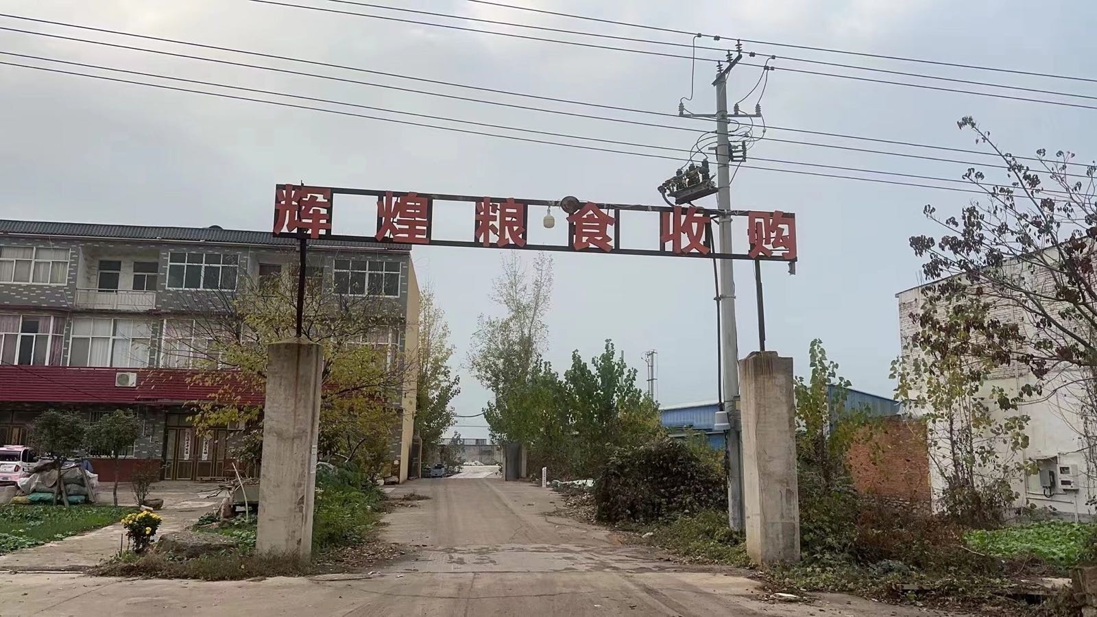 辉煌粮食收购