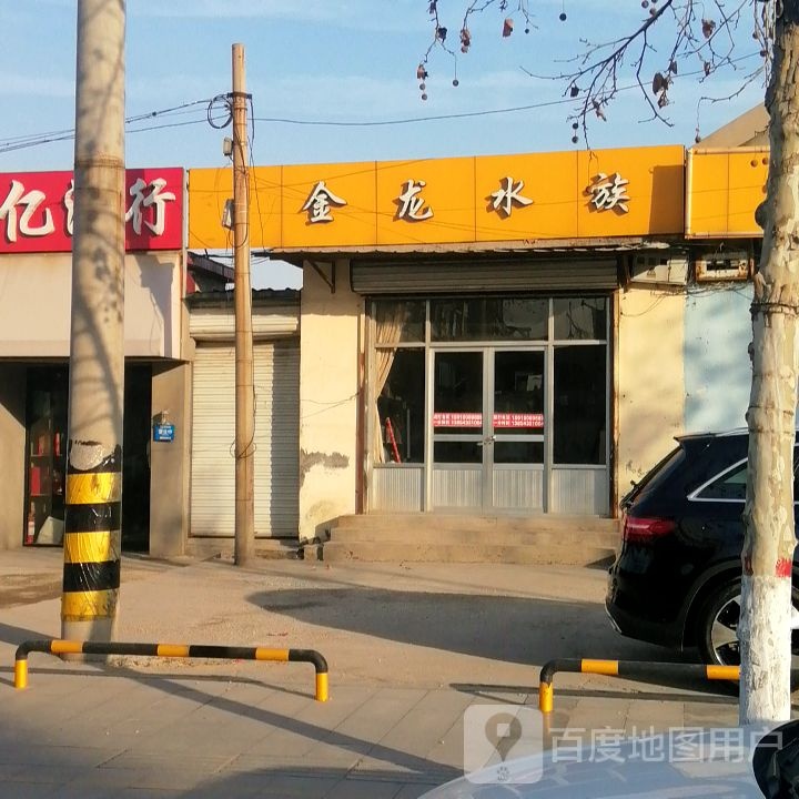 金龙水族