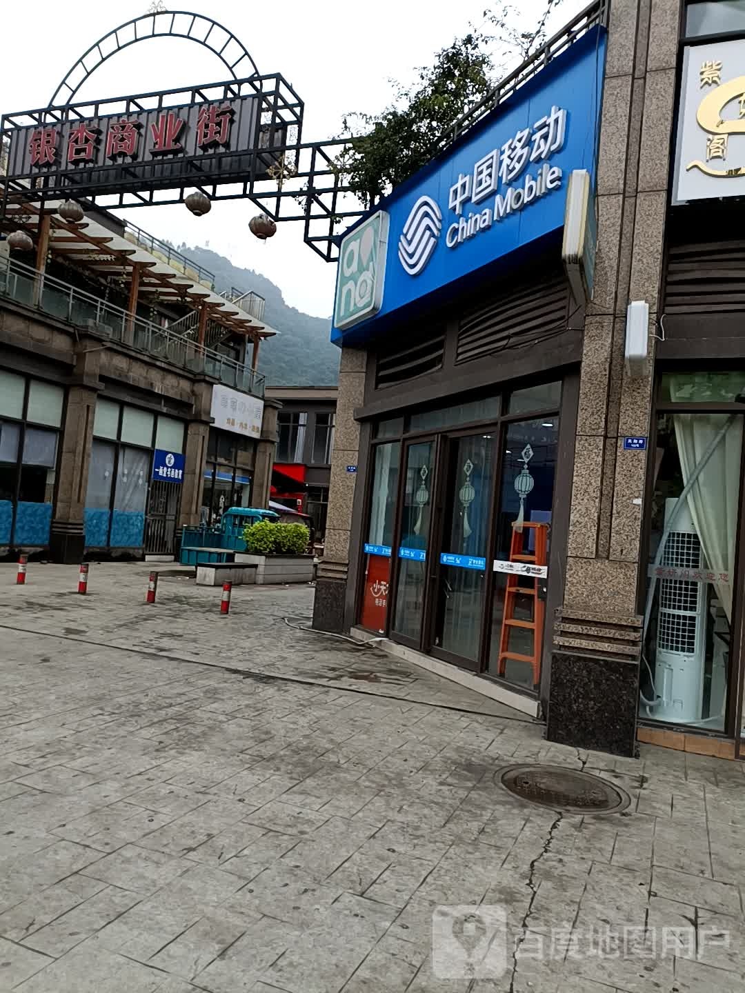 银杏足dao