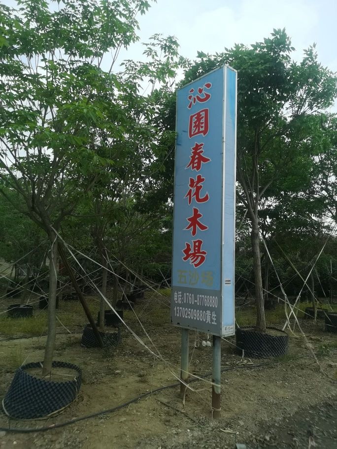 中山市沁园春园林花木场