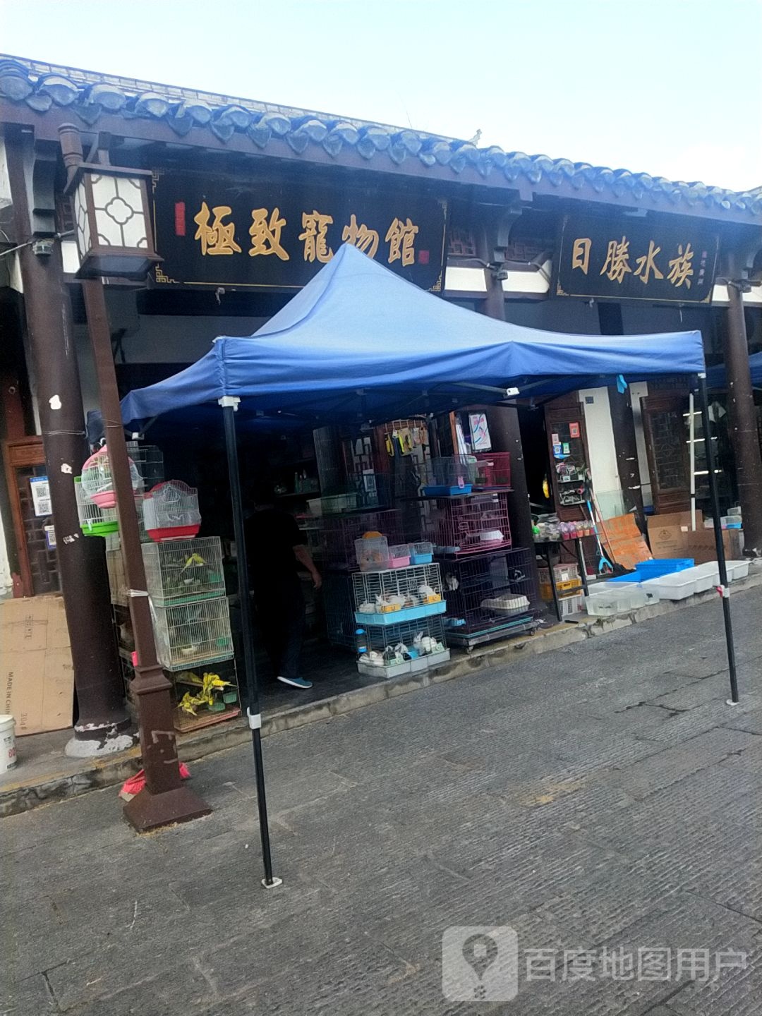 日升水族(文庙古玩市场店)