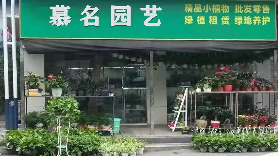 叶集区慕名园艺