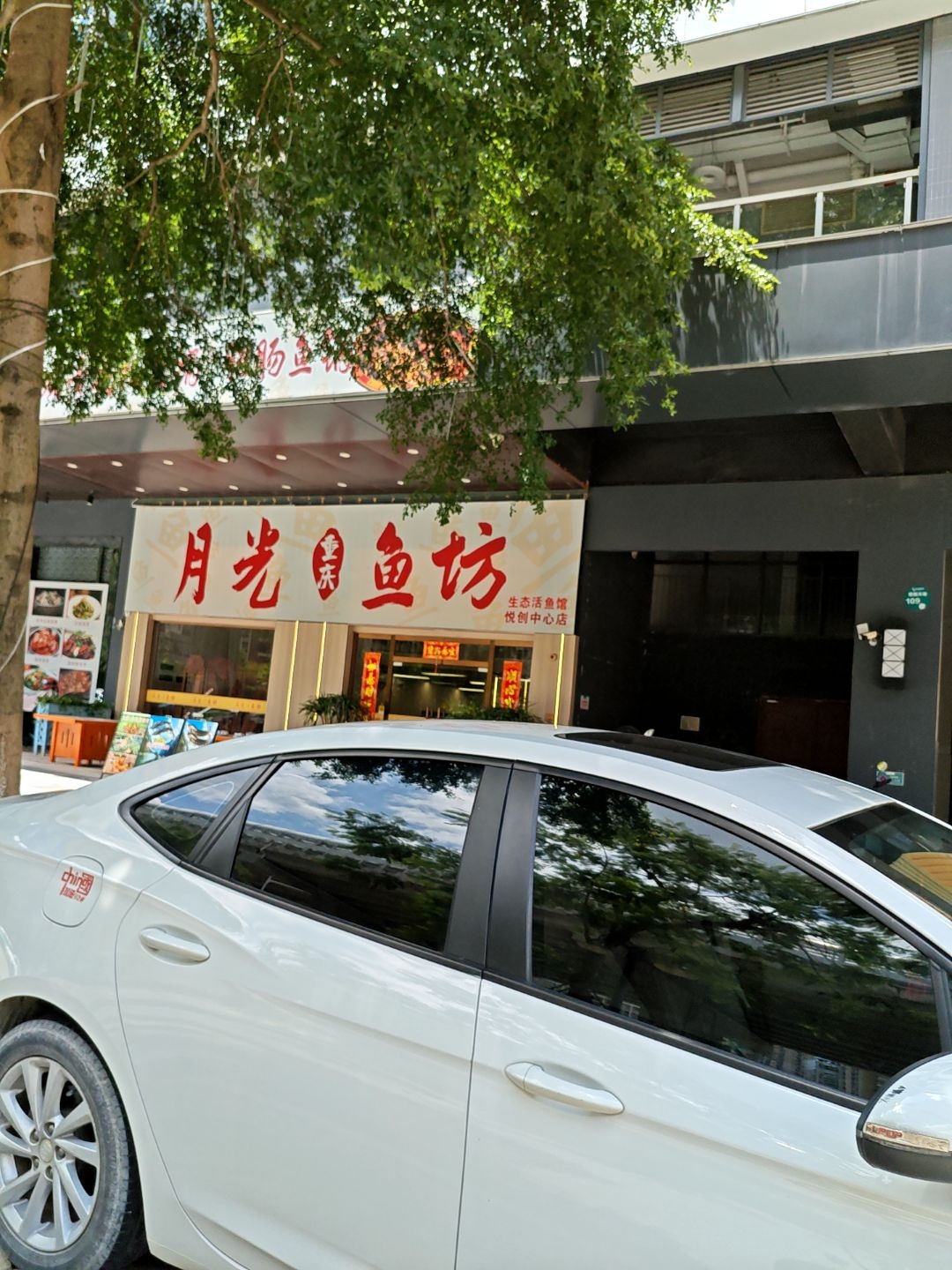 月光渔坊·重庆青花椒鱼锅·肥肠鱼锅