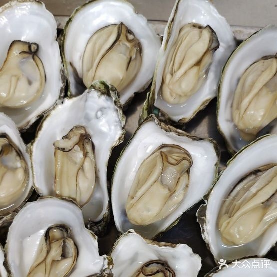 正宗湛江生蚝(清溪店)
