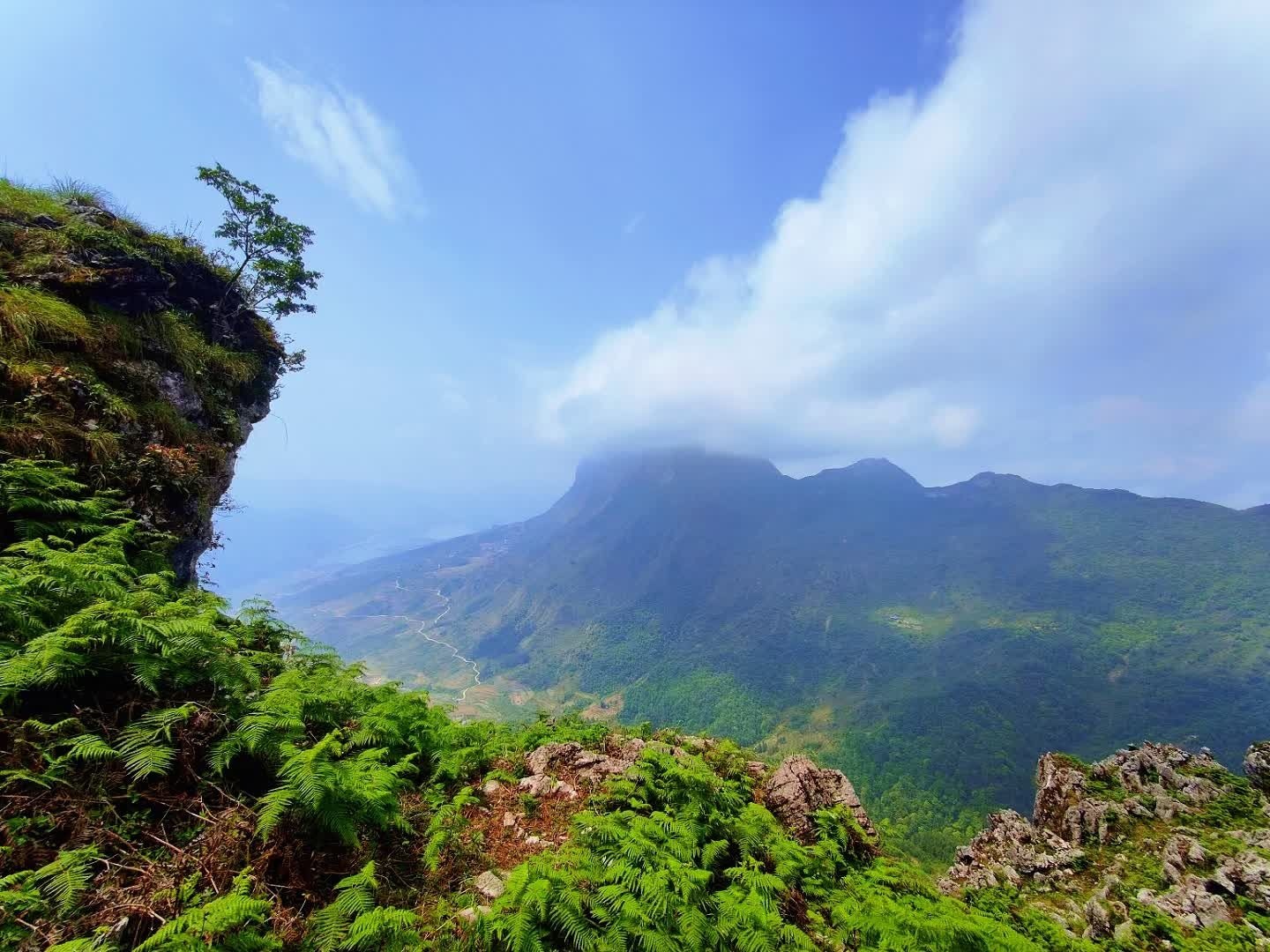 龙脊山自然风景区