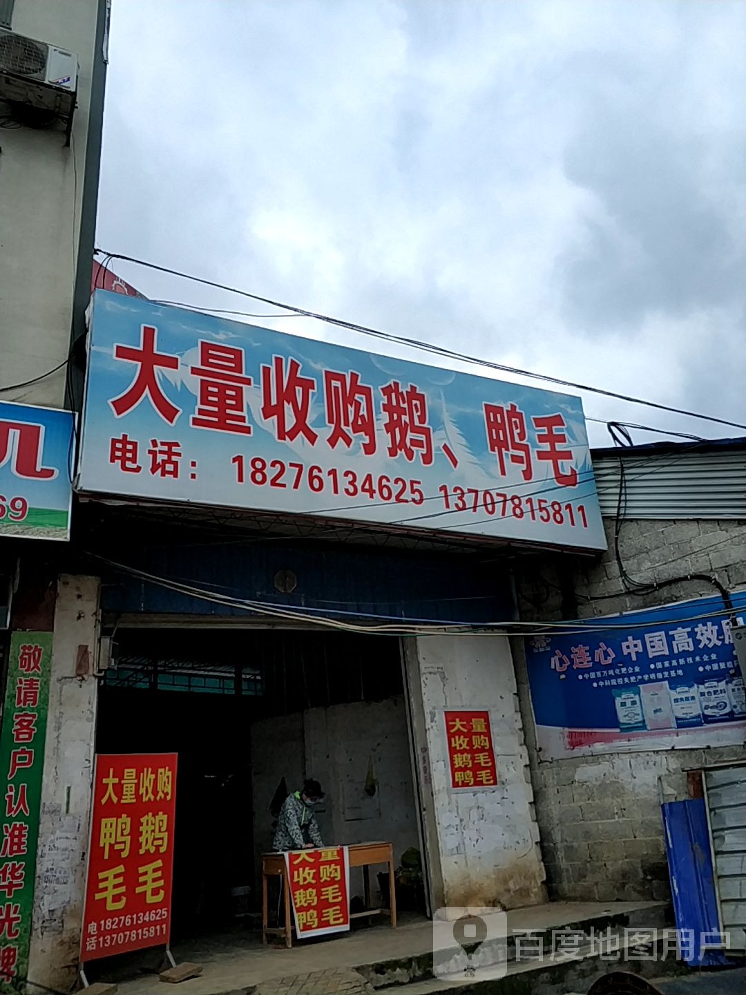 大量收购鹅鸭毛