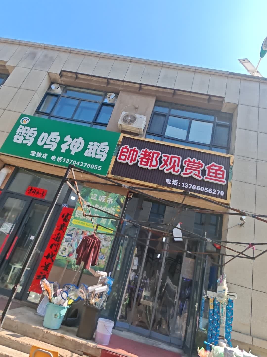 宠物用品