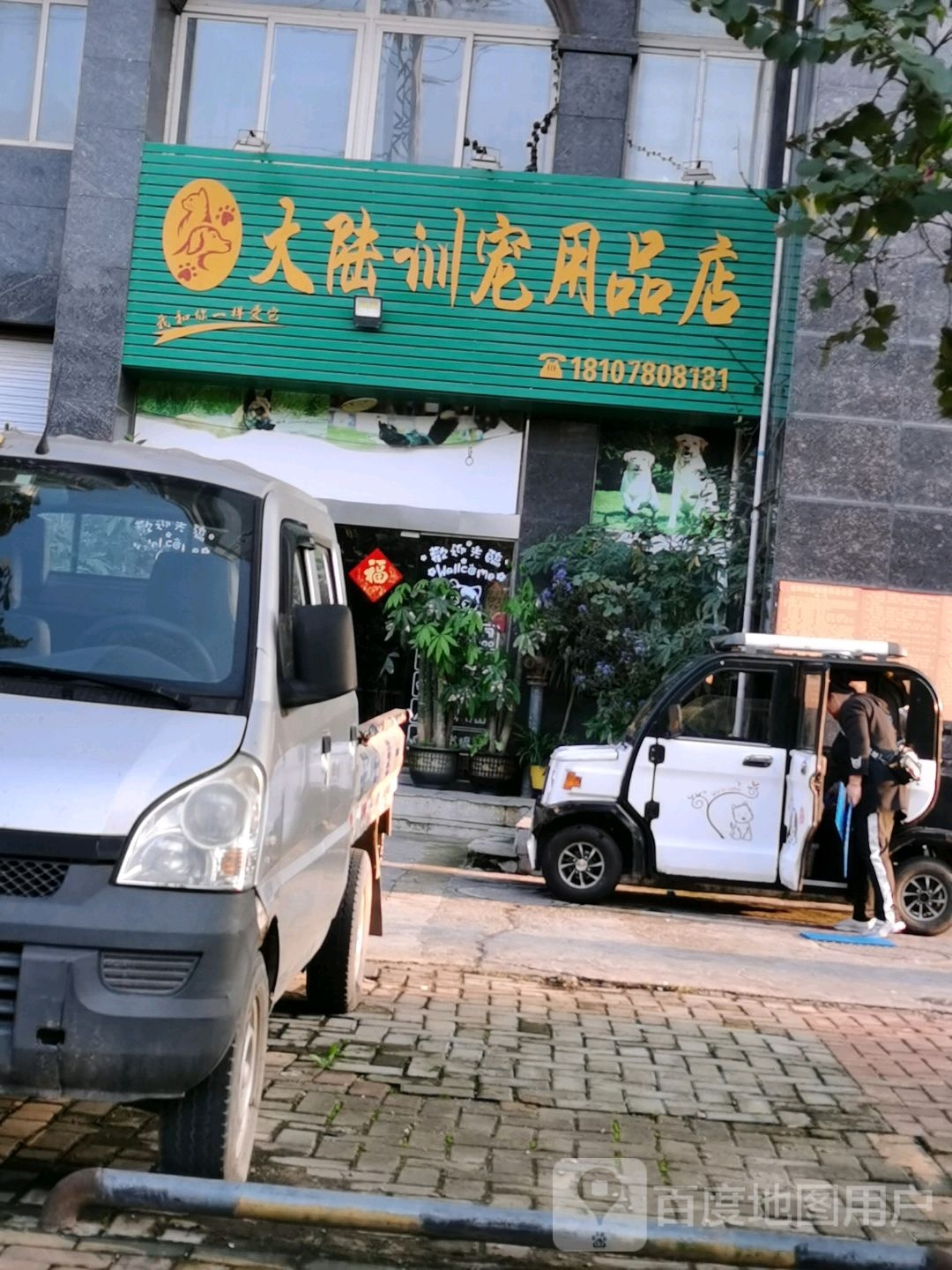 大陆训宠用品店