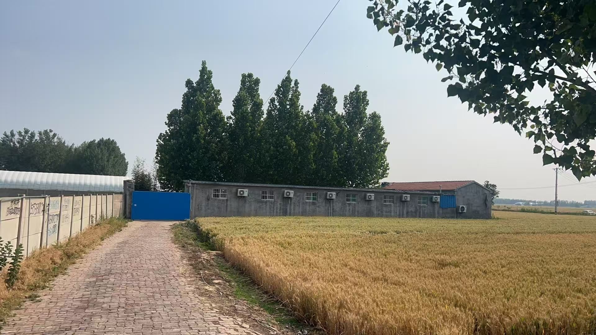 冠县高庄清真饭店