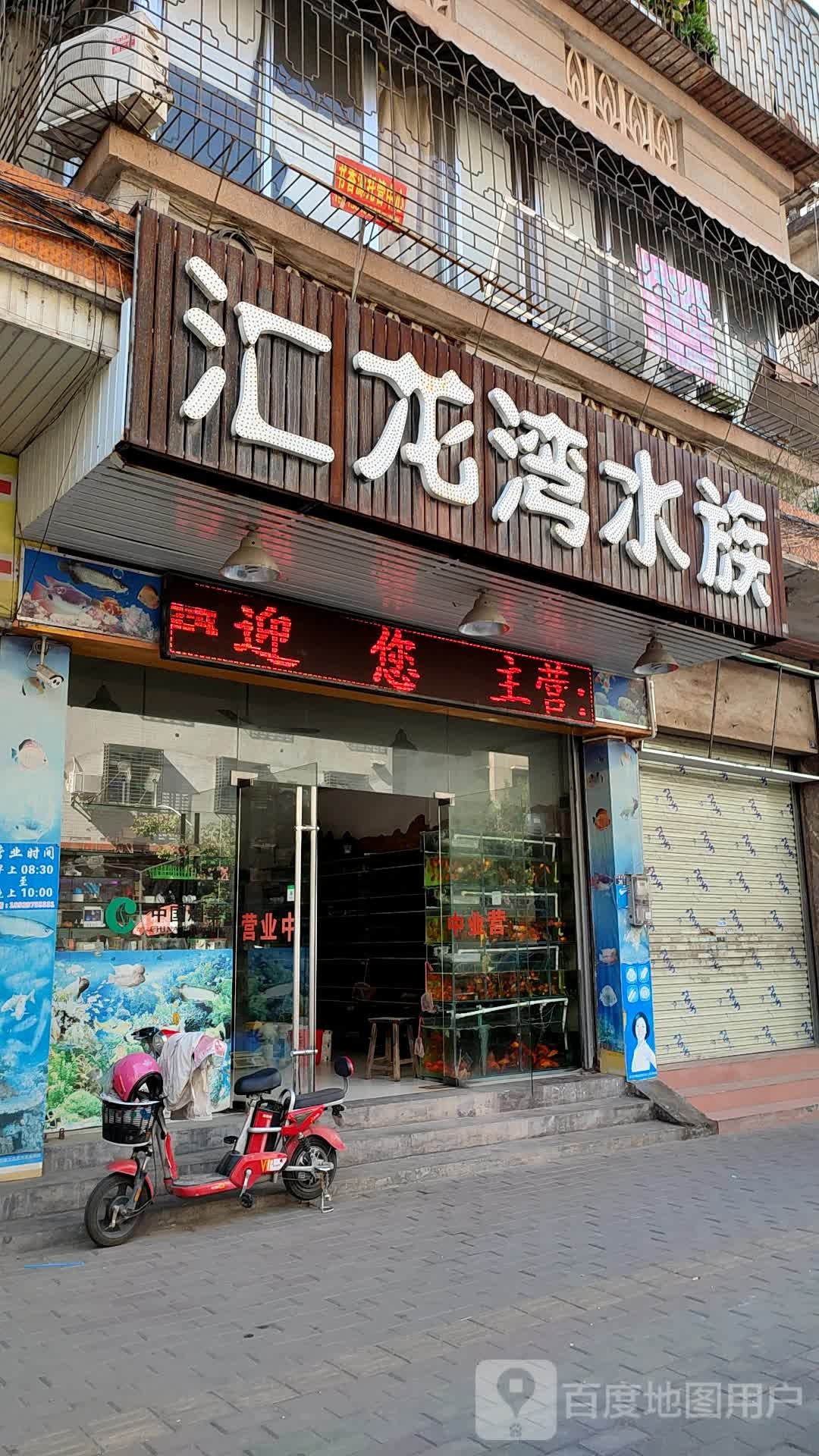 汇龙湾水族(玉都家居广场店)