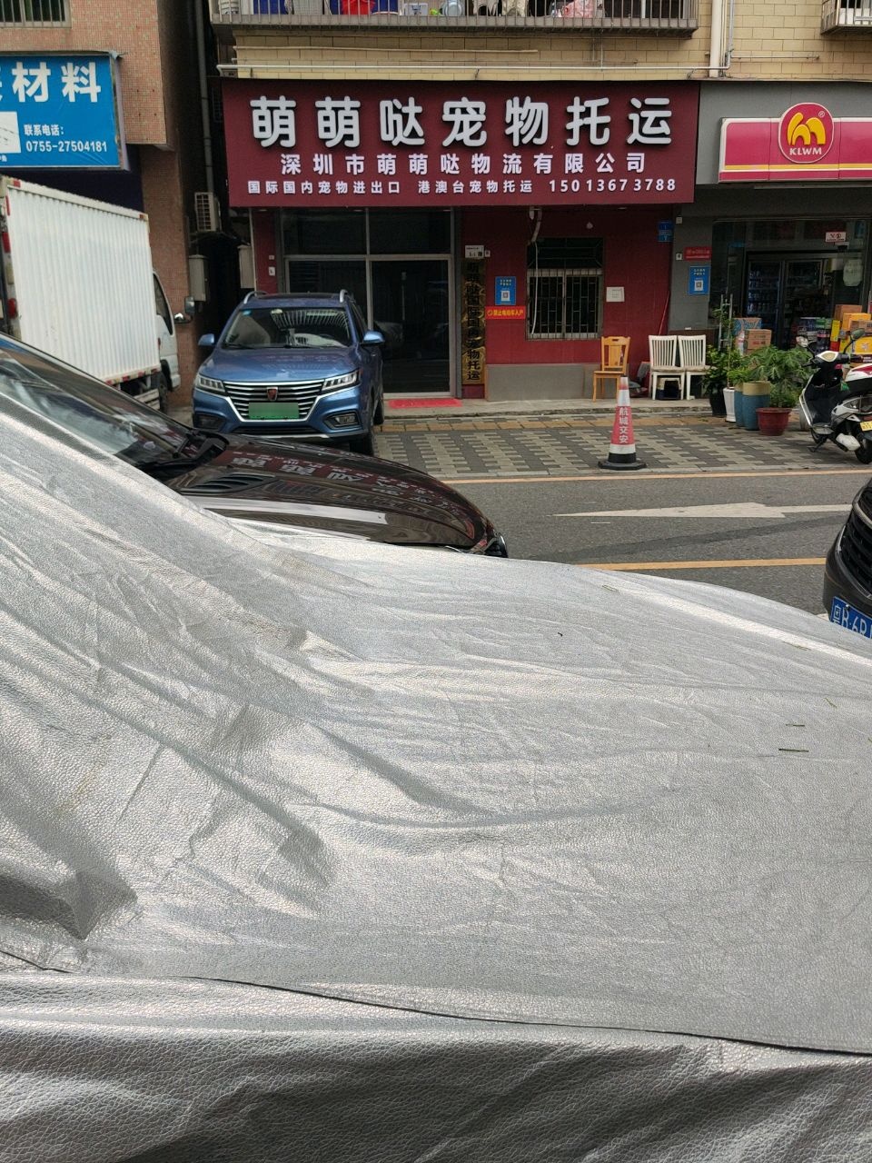 萌萌哒宠物托运