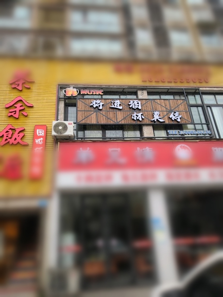 将进酒·杯莫停