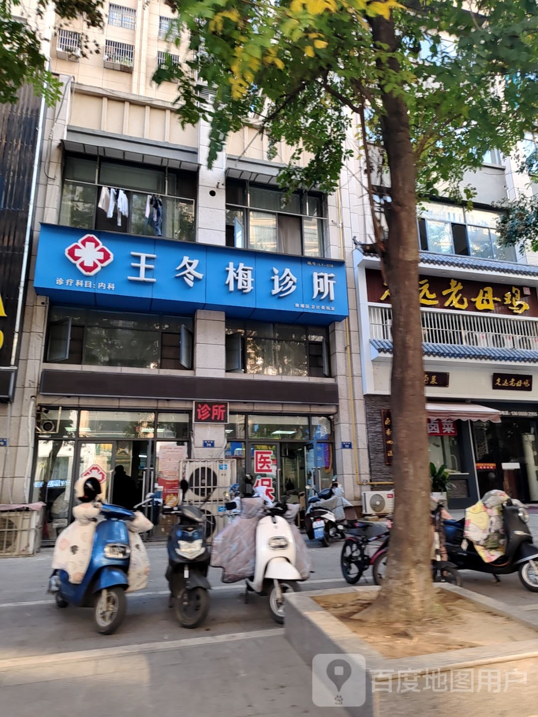 丁远老母鸡(百合花园)