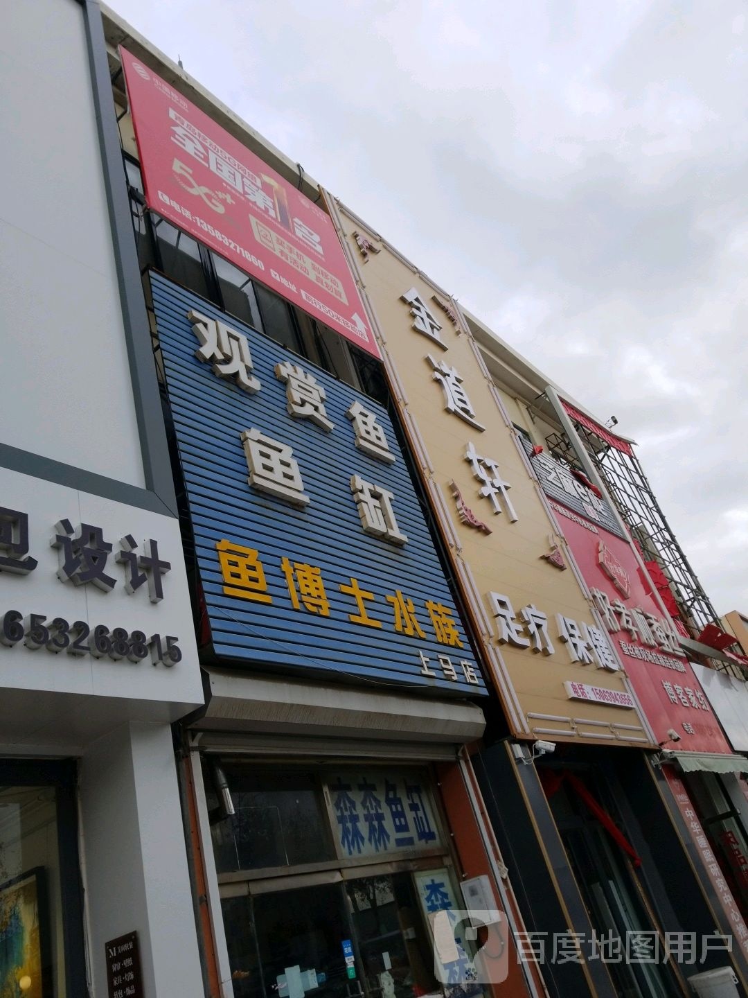 鱼博士水族(上马店)