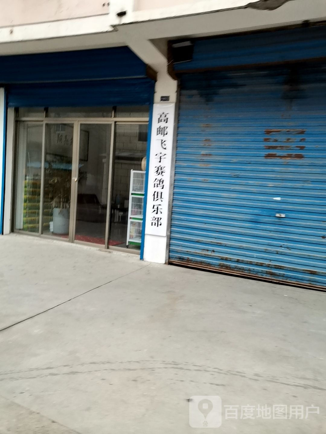 高邮飞宇赛鸽俱乐部
