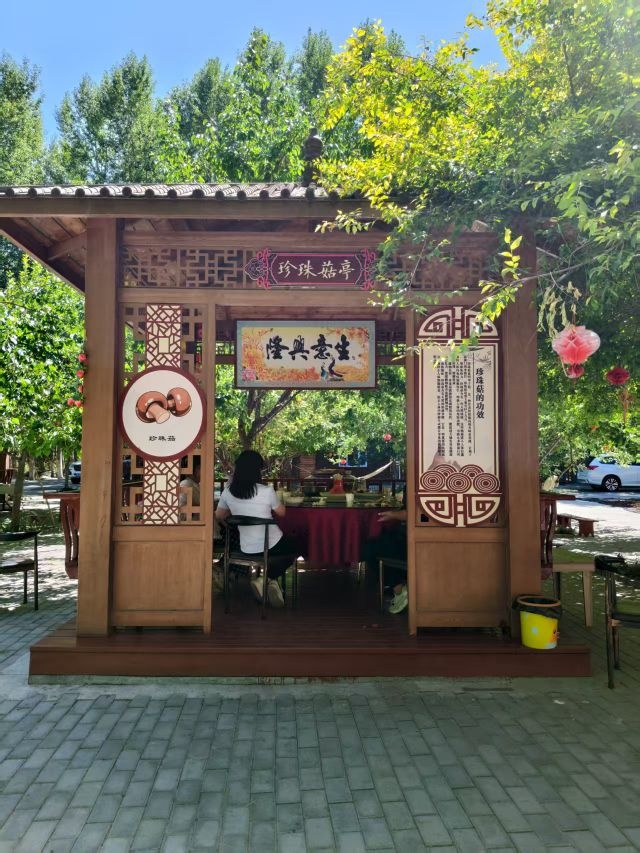凤琴农家院羊肚菌大盘鸡