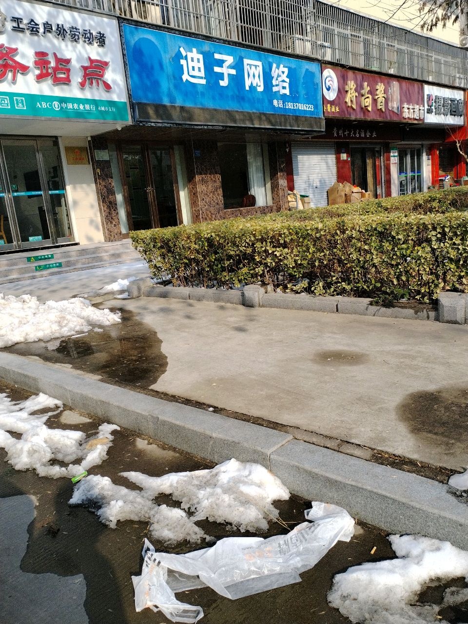 迪子网络