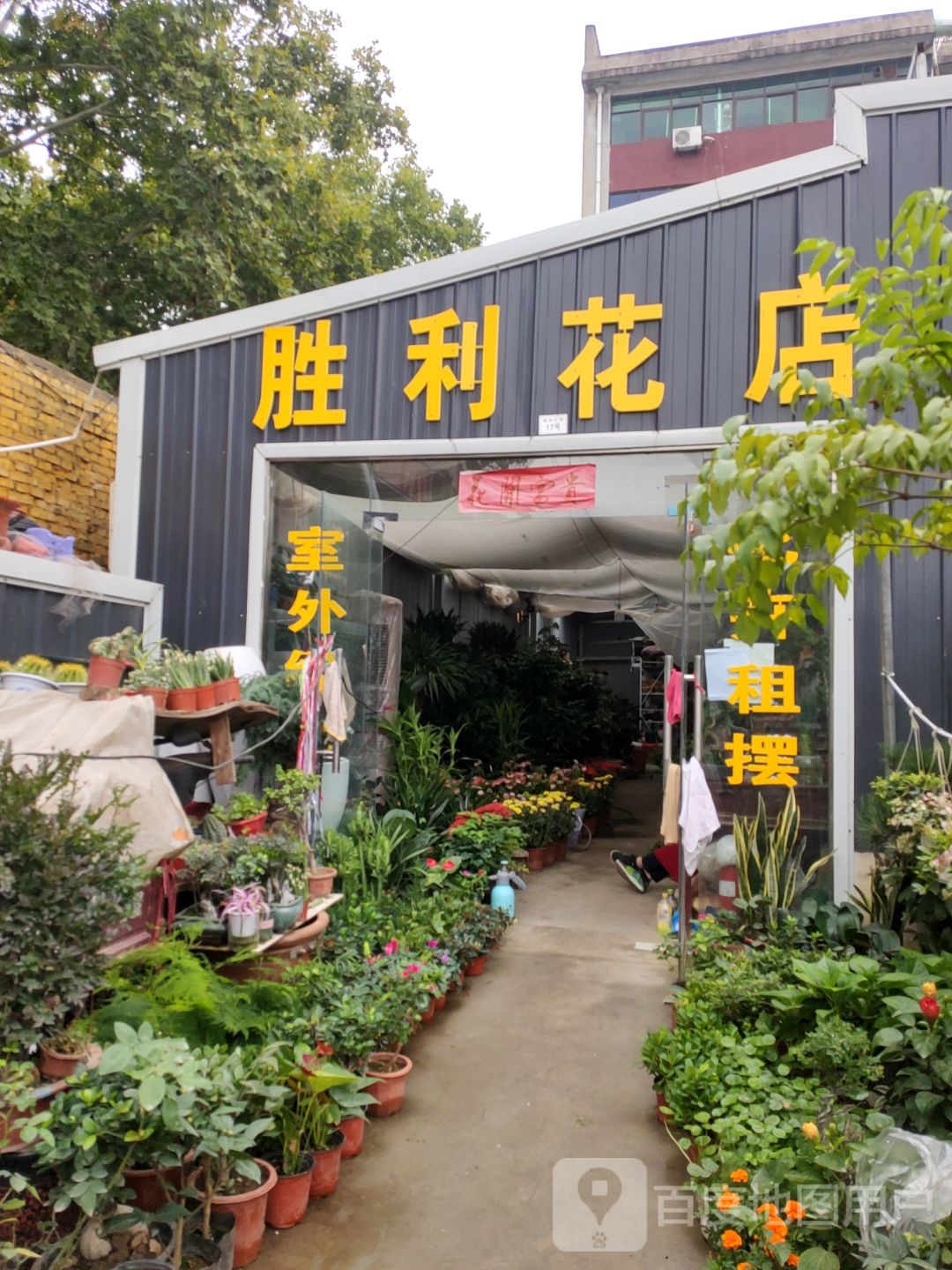 巩义市胜利花店