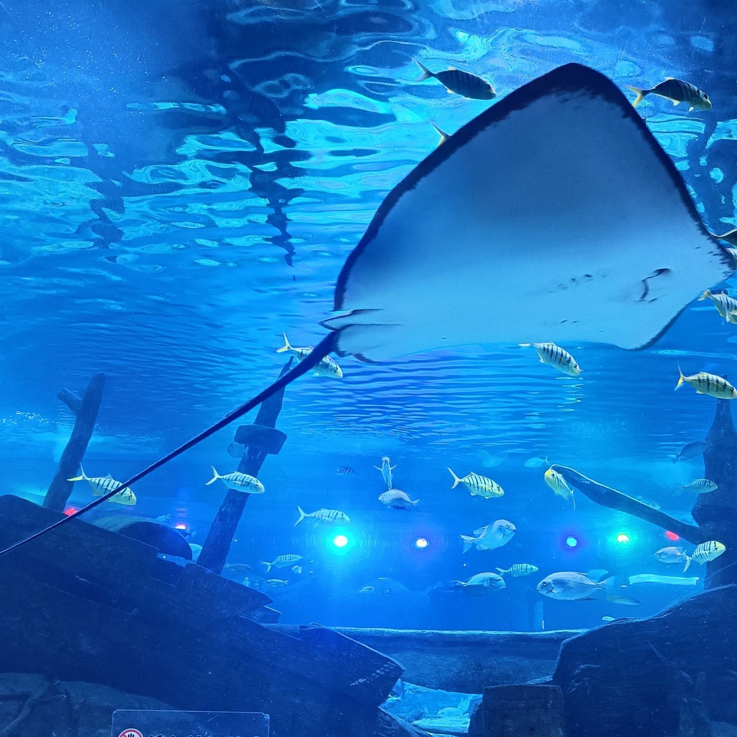 东莞海立方环游城(华南MALL店)