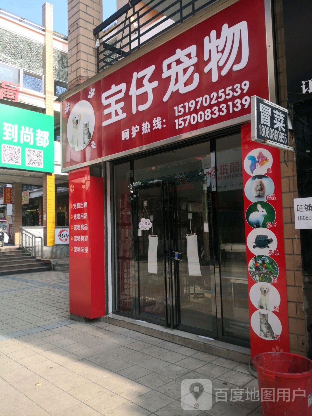 宝仔宠物店